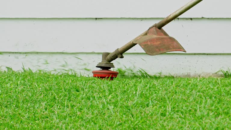 Best Lawn Watering Services  in Richland Hills, TX
